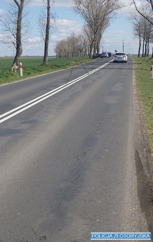 Wiosenna lustracja dróg w powiecie złotoryjskim