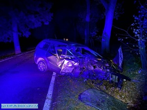 Po uderzeniu w drzewo kierowca trafił do szpitala