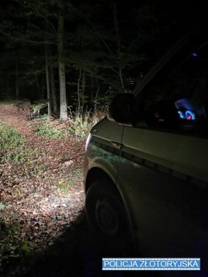 Policyjny radiowóz przednimi światłami oświetla teren leśny