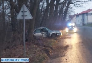 Pojazd po uderzeniu w drzewo