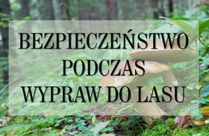 bezpieczeństw podczas wypraw do lasu