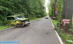 auto po uderzeniu w drzewo