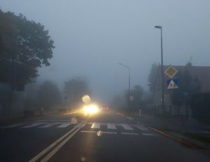 mgła na drodze