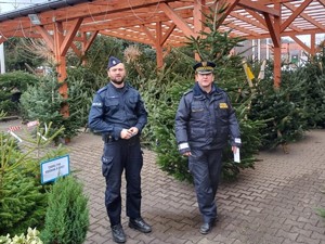 plac z choinkami, policjant i strażnik miejski