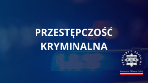 Zwalczanie przestępczości kryminalnej