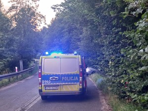 na pasie jezdni zaparkowany radiowóz ma włączone sygnały świetlne z rowu wystaje przód samochodu marki audi