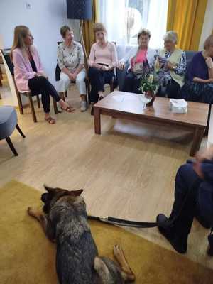 w pokoju siedzą seniorki 5 kobiet oraz jedna dużo młodsza kobieta, na dywanie leży pies służbowy gryzący piłeczkę