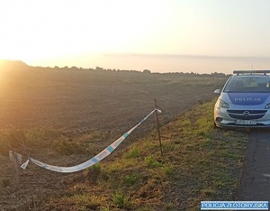 pojazdy policji i patrolu saperskiego na polu