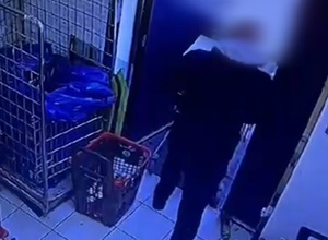 Złodziej wychodzi z wózkiem sklepowym